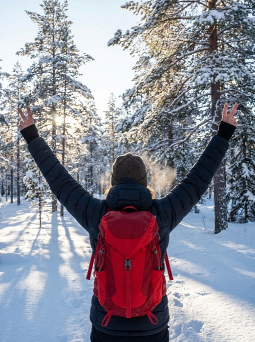 Winter hiker with arms raised in the snow